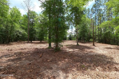 Check out this Beautiful Golf Course lot located on the 13th on Sunny Hills Golf and Country Club in Florida - for sale on GolfHomes.com, golf home, golf lot