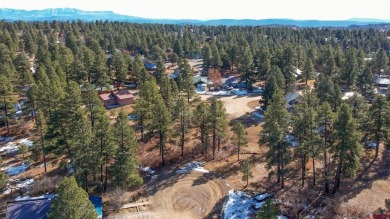 Kade Stewart, Sherpa Real Estate, C: , kade,  : Great lot with on Pagosa Springs Golf Club in Colorado - for sale on GolfHomes.com, golf home, golf lot