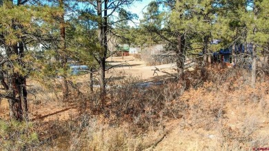 Kade Stewart, Sherpa Real Estate, C: , kade,  : Great lot with on Pagosa Springs Golf Club in Colorado - for sale on GolfHomes.com, golf home, golf lot