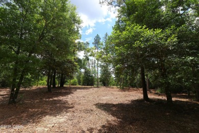 Check out this Beautiful Golf Course lot located on the 13th on Sunny Hills Golf and Country Club in Florida - for sale on GolfHomes.com, golf home, golf lot