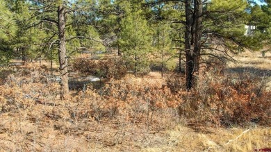 Kade Stewart, Sherpa Real Estate, C: , kade,  : Great lot with on Pagosa Springs Golf Club in Colorado - for sale on GolfHomes.com, golf home, golf lot