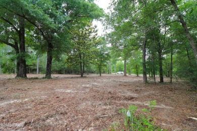 Check out this Beautiful Golf Course lot located on the 13th on Sunny Hills Golf and Country Club in Florida - for sale on GolfHomes.com, golf home, golf lot