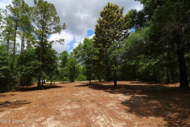 Check out this Beautiful Golf Course lot located on the 13th on Sunny Hills Golf and Country Club in Florida - for sale on GolfHomes.com, golf home, golf lot