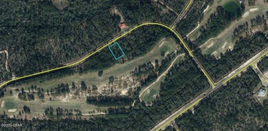 Check out this Beautiful Golf Course lot located on the 13th on Sunny Hills Golf and Country Club in Florida - for sale on GolfHomes.com, golf home, golf lot