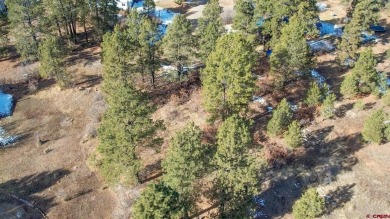 Kade Stewart, Sherpa Real Estate, C: , kade,  : Great lot with on Pagosa Springs Golf Club in Colorado - for sale on GolfHomes.com, golf home, golf lot
