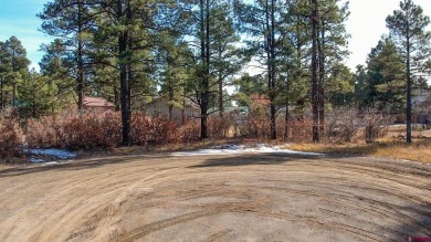 Kade Stewart, Sherpa Real Estate, C: , kade,  : Great lot with on Pagosa Springs Golf Club in Colorado - for sale on GolfHomes.com, golf home, golf lot