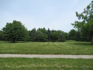 If you are looking for a building site in an established golf on The Sawmill Golf Club in Michigan - for sale on GolfHomes.com, golf home, golf lot