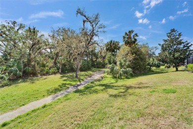 Welcome home! Nestled in the serene, active 55+ community of Del on Apollo Beach Golf and Sea Club in Florida - for sale on GolfHomes.com, golf home, golf lot