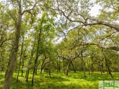 Welcome to your own piece of paradise in the heart of the on The Ford Field and River Club  in Georgia - for sale on GolfHomes.com, golf home, golf lot