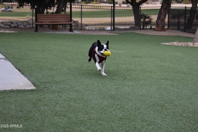 This exceptional Palo Verde offers a rare 3 car garage & desired on Desert Springs Golf Course in Arizona - for sale on GolfHomes.com, golf home, golf lot
