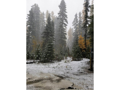 The ultimate outdoor enthusiast's dream, with two RV sites on Osprey Meadows at Tamarack Resort in Idaho - for sale on GolfHomes.com, golf home, golf lot