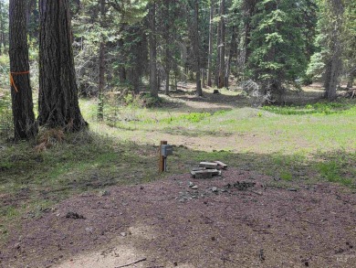 The ultimate outdoor enthusiast's dream, with two RV sites on Osprey Meadows at Tamarack Resort in Idaho - for sale on GolfHomes.com, golf home, golf lot