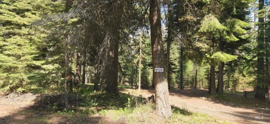 The ultimate outdoor enthusiast's dream, with two RV sites on Osprey Meadows at Tamarack Resort in Idaho - for sale on GolfHomes.com, golf home, golf lot