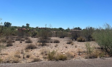 This is an opportunity to purchase the only lot available on the on Los Caballeros Golf Club in Arizona - for sale on GolfHomes.com, golf home, golf lot