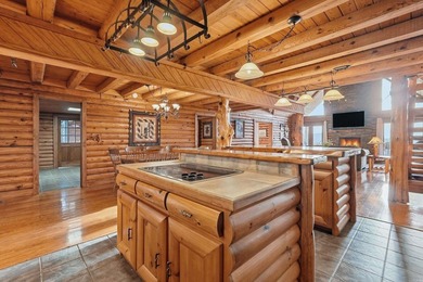 TWO BOAT SLIPS (2 boat lifts), STUNNING VIEWS OF Greers Ferry on  in Arkansas - for sale on GolfHomes.com, golf home, golf lot