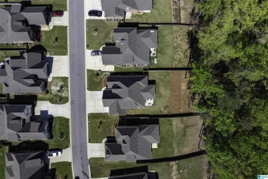Looking for a move in ready home?  Live 5 minutes from the on Ballantrae Golf Club in Alabama - for sale on GolfHomes.com, golf home, golf lot