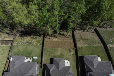 Looking for a move in ready home?  Live 5 minutes from the on Ballantrae Golf Club in Alabama - for sale on GolfHomes.com, golf home, golf lot