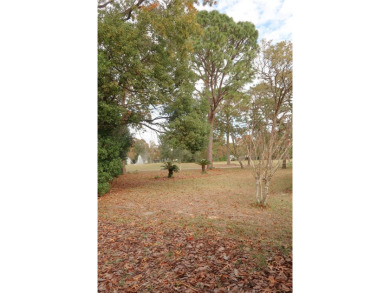 Welcome to this charming 3-bedroom, 2-bath home located in the on Sugarmill Woods Golf and Country Club in Florida - for sale on GolfHomes.com, golf home, golf lot