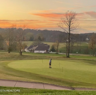 This is a beautiful LEVEL AND EASILY BUILDABLE home site nestled on Tennessee National Golf Club in Tennessee - for sale on GolfHomes.com, golf home, golf lot