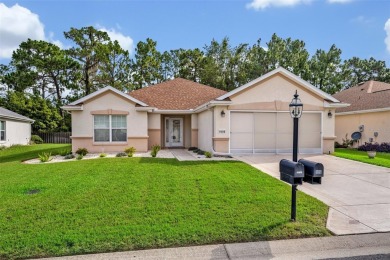Gorgeous TURNKEY Home in Spruce Creek Golf  Country Club - on Eagle Ridge At Spruce Creek Country Club in Florida - for sale on GolfHomes.com, golf home, golf lot