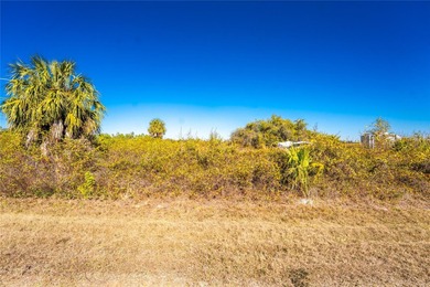 SECLUDED ROAD SERENITY WITH ORCHARD VIEWS--YOUR PEACE RIVER on Live Oak Golf Club and RV Park in Florida - for sale on GolfHomes.com, golf home, golf lot