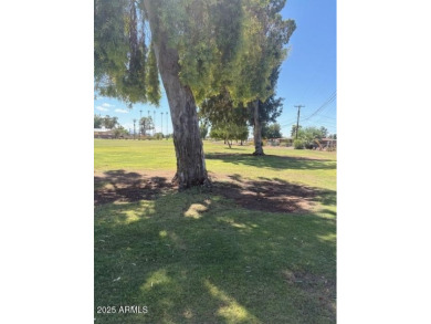 Golf course lot home in Sun City! Featuring 3 bedrooms, 2 on Sun City North Golf Course in Arizona - for sale on GolfHomes.com, golf home, golf lot