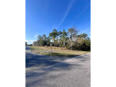 Experience the beauty and tranquility of Florida's Nature with on Citrus Springs Country Club in Florida - for sale on GolfHomes.com, golf home, golf lot