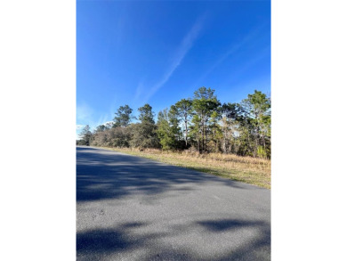 Experience the beauty and tranquility of Florida's Nature with on Citrus Springs Country Club in Florida - for sale on GolfHomes.com, golf home, golf lot