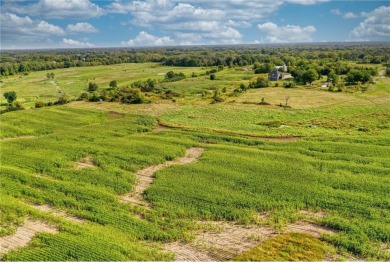 AMAZING DEVELOPMENT OPPORTUNITY ON PUBLIC GOLF COURSE! For those on Tanners Brook Golf Club in Minnesota - for sale on GolfHomes.com, golf home, golf lot