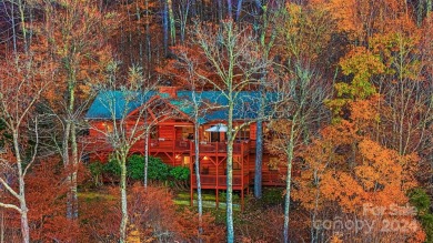 Patiently waiting for a Wolf Laurel Resort home with amazing on Wolf Laurel Country Club in North Carolina - for sale on GolfHomes.com, golf home, golf lot