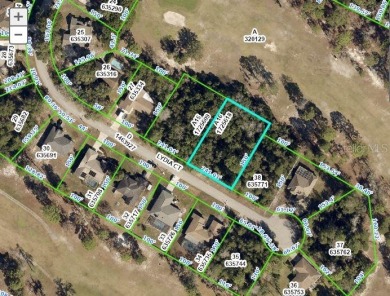 Under contract-accepting backup offers. This lot located on a on Oak Hills Country Club in Florida - for sale on GolfHomes.com, golf home, golf lot