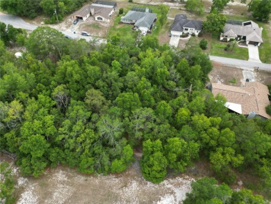 Under contract-accepting backup offers. This lot located on a on Oak Hills Country Club in Florida - for sale on GolfHomes.com, golf home, golf lot