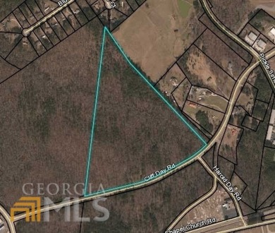 Approx 49.44 acres, great for Residential development or on Pine Hills Golf Club in Georgia - for sale on GolfHomes.com, golf home, golf lot
