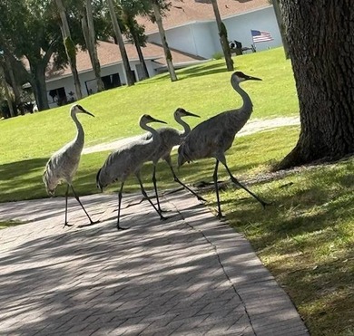 Price reduction on this fantastic location for a home base or on Deer Creek RV Golf Resort in Florida - for sale on GolfHomes.com, golf home, golf lot