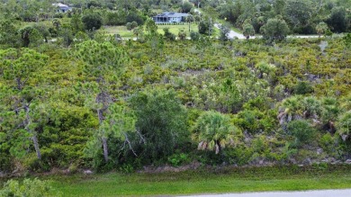 Discover an outstanding opportunity to own a vacant lot in the on Sabal Trace Golf and Country Club in Florida - for sale on GolfHomes.com, golf home, golf lot