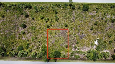 Discover an outstanding opportunity to own a vacant lot in the on Sabal Trace Golf and Country Club in Florida - for sale on GolfHomes.com, golf home, golf lot