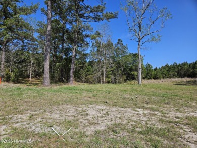 Great homesite at a fraction of the cost of the original prices on Sea Trail Golf Resort in North Carolina - for sale on GolfHomes.com, golf home, golf lot