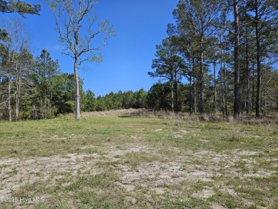 Great homesite at a fraction of the cost of the original prices on Sea Trail Golf Resort in North Carolina - for sale on GolfHomes.com, golf home, golf lot