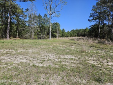 Great homesite at a fraction of the cost of the original prices on Sea Trail Golf Resort in North Carolina - for sale on GolfHomes.com, golf home, golf lot