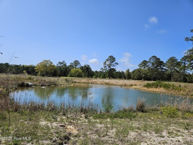 Great homesite at a fraction of the cost of the original prices on Sea Trail Golf Resort in North Carolina - for sale on GolfHomes.com, golf home, golf lot