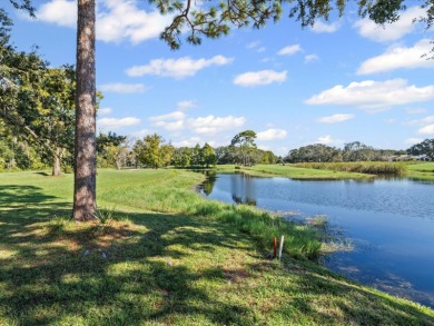 New Look and Design! Must see to believe! So many unique on Summertree Golf Course in Florida - for sale on GolfHomes.com, golf home, golf lot
