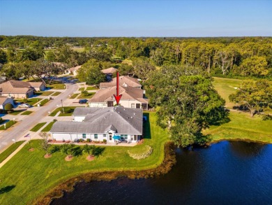 New Look and Design! Must see to believe! So many unique on Summertree Golf Course in Florida - for sale on GolfHomes.com, golf home, golf lot