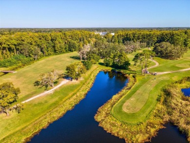 New Look and Design! Must see to believe! So many unique on Summertree Golf Course in Florida - for sale on GolfHomes.com, golf home, golf lot