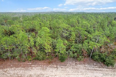 COME SEE WHY EVERYONE LOVES PINE RIDGE! This 3.27 (approx) acre on Pine Ridge Community Golf and Country Club in Florida - for sale on GolfHomes.com, golf home, golf lot