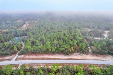 COME SEE WHY EVERYONE LOVES PINE RIDGE! This 3.27 (approx) acre on Pine Ridge Community Golf and Country Club in Florida - for sale on GolfHomes.com, golf home, golf lot