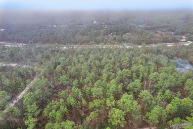 COME SEE WHY EVERYONE LOVES PINE RIDGE! This 3.27 (approx) acre on Pine Ridge Community Golf and Country Club in Florida - for sale on GolfHomes.com, golf home, golf lot