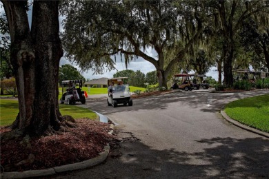 VA ASSUMABLE LOAN  at 3.125%!  A lush, private oasis with on North Lakes Golf Course in Florida - for sale on GolfHomes.com, golf home, golf lot
