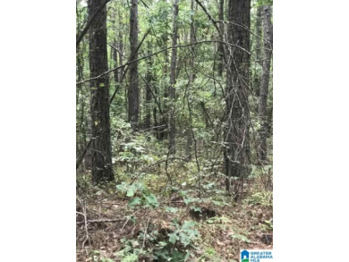 This is a developing area with great proximity to Lake Logan on  in Alabama - for sale on GolfHomes.com, golf home, golf lot