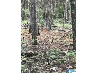 This is a developing area with great proximity to Lake and on Alpine Bay Resort in Alabama - for sale on GolfHomes.com, golf home, golf lot