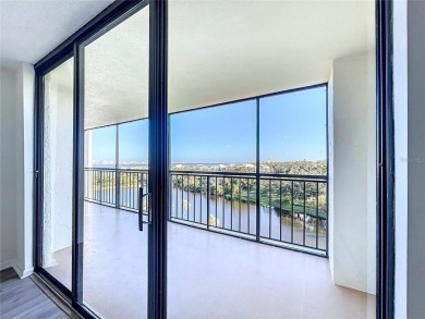 One or more photo(s) has been virtually staged. Unmatched Views on Belleair Country Club in Florida - for sale on GolfHomes.com, golf home, golf lot